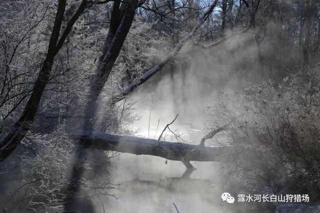 什么是性同意？你对“性同意”的理解是什么？游戏画面